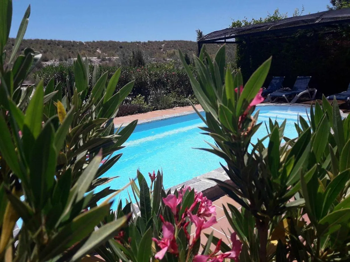 Hostal Cuevas Andalucia Baza 0*,