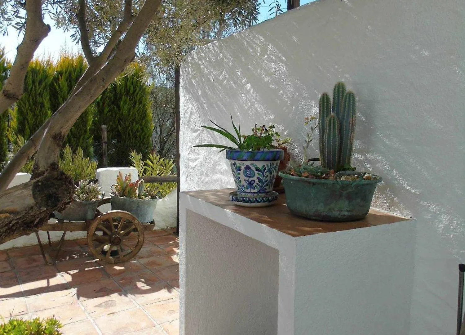 Cuevas Andalucia Guest House Baza
